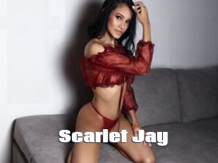 Scarlet_Jay