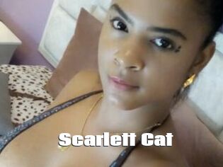 Scarlett_Cat