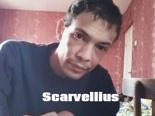 Scarvellius