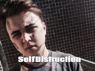 SelfDistruction