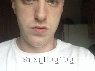 SexyBoyToy