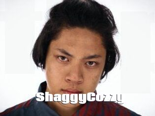 ShaggyCozzy