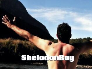 ShelodonBoy