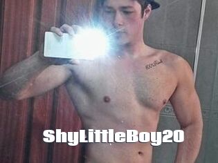 ShyLittleBoy20