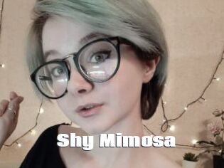 Shy_Mimosa