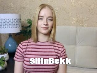 SilinBekk