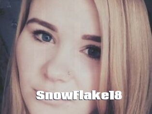 SnowFlake18