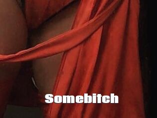 Somebitch