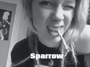 Sparrow