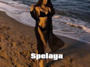 Spelaya