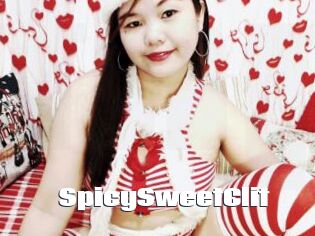 SpicySweetClit