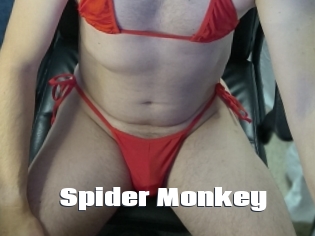 Spider_Monkey