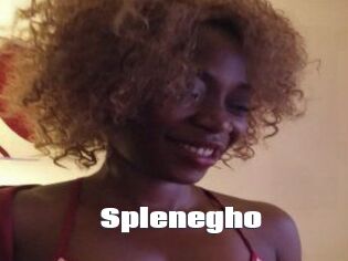 Splenegho