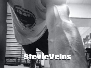 StevieVeins