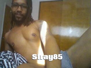 Stray85