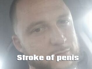 Stroke_of_penis