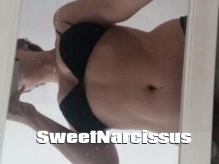 SweetNarcissus The hot porn
