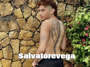 Salvatorevega