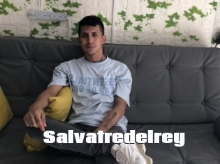 salvatredelrey The hot porn