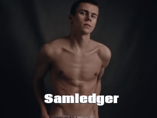 Samledger