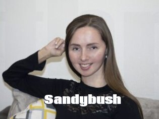 Sandybush