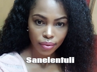 Sanelentuli