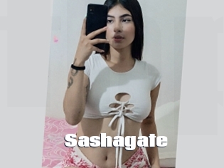 Sashagate