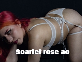 Scarlet_rose_ac