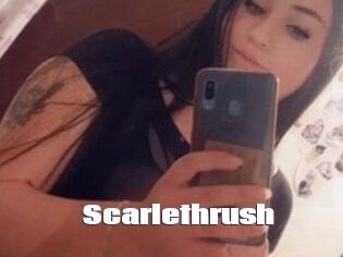 Scarlethrush