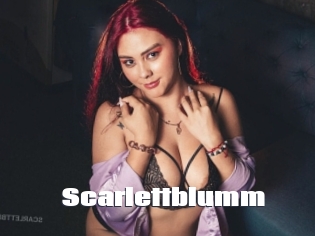 Scarlettblumm