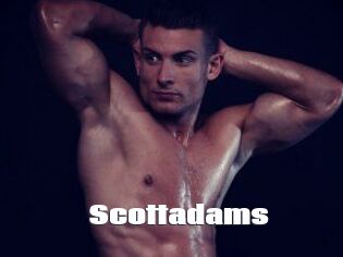 Scottadams