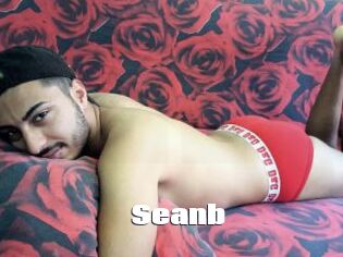 Seanb