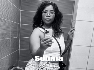 Sebina