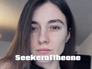Seekeroftheone