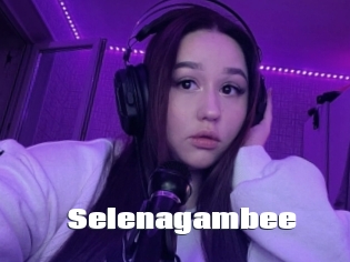 Selenagambee