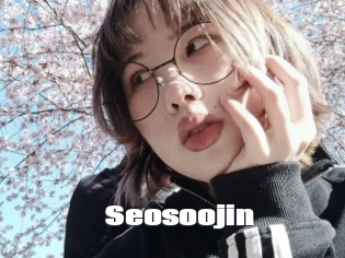 Seosoojin