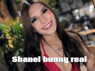 Shanel_bunny_real
