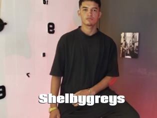 Shelbygreys