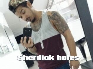 Sherdick_holes