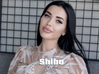 Shibo