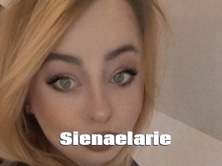 Sienaelarie