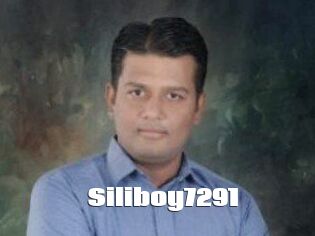 Siliboy7291