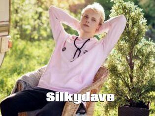 Silkydave