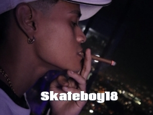 Skateboy18