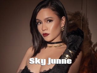 Sky_junne