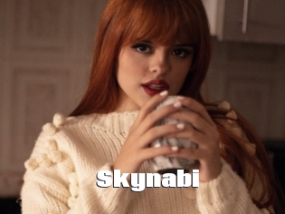 Skynabi
