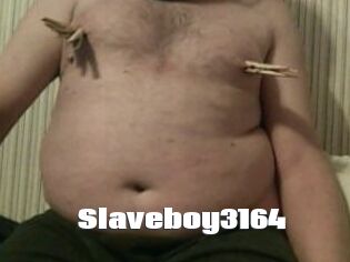 Slaveboy3164