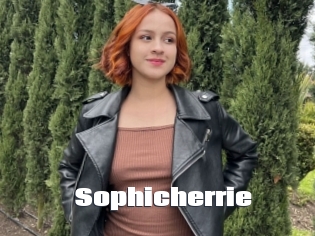 Sophicherrie