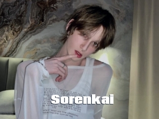 sorenkai The hot porn