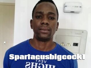 Spartacusbigcock1